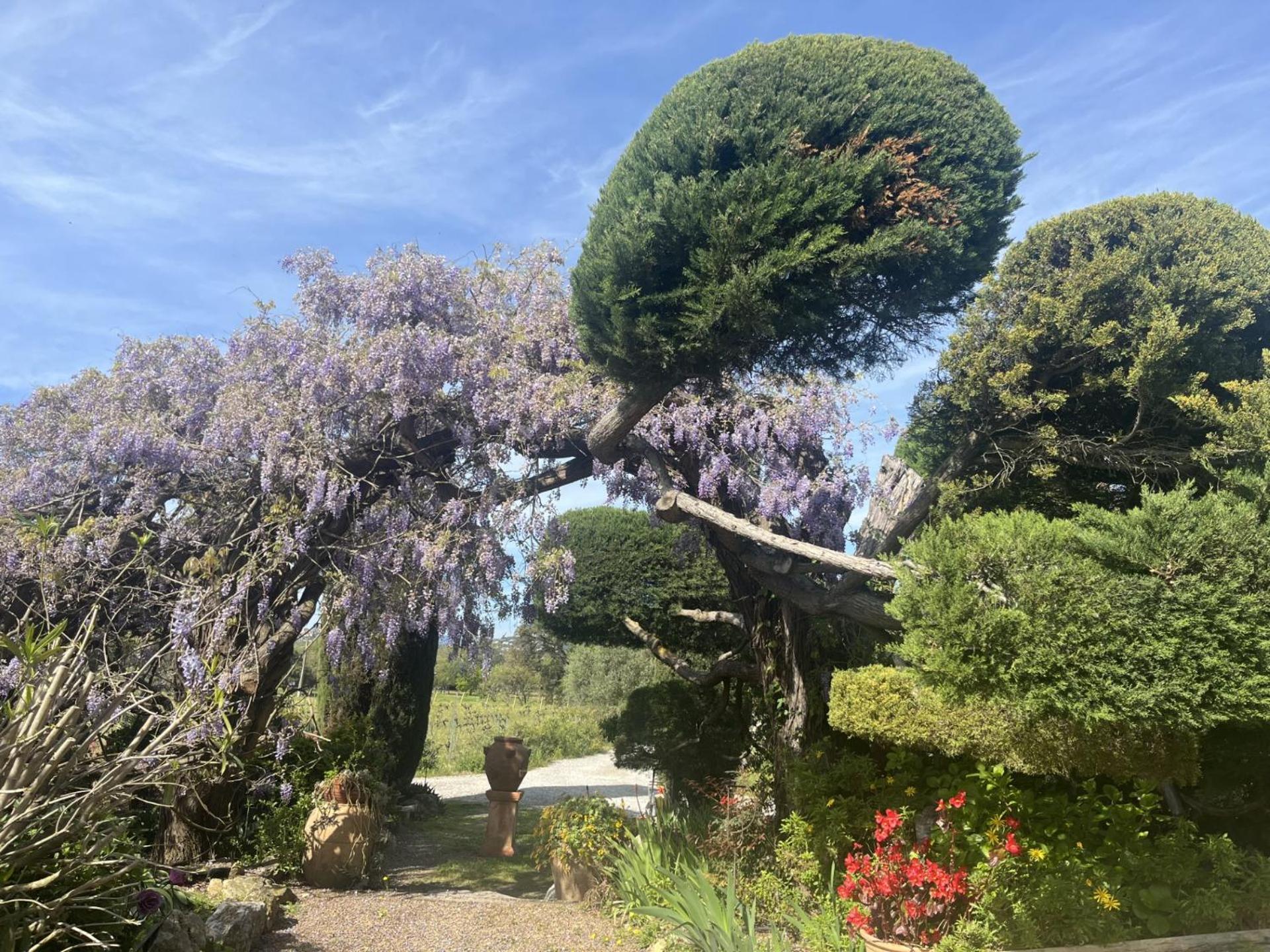 La Maison De Justine Grimaud Exterior photo